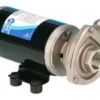 Cyclone pump  12V BSP