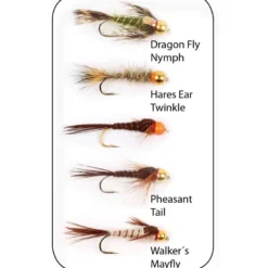 Flugkollektion Goldheads Long Shank 5p #10