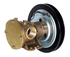 Jabsco 50580 1" BSP