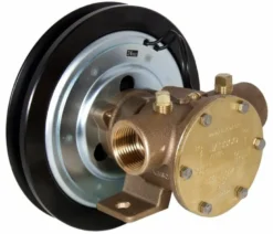 Jabsco 50080 1" BSP
