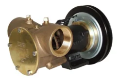 Jabsco 50270 2" BSP