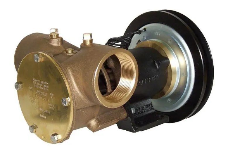 Jabsco 50270 2" BSP