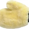 Lammullsvante