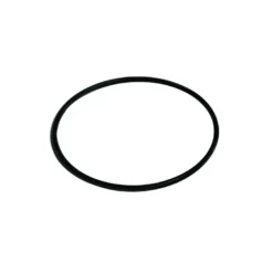Maestrini O-ring sjövattenfilter 0007