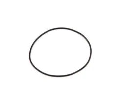 O-ring Quiet Flush