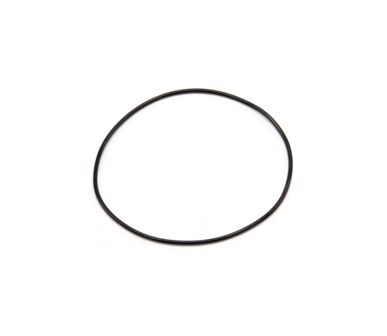 O-ring Quiet Flush