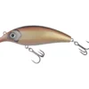 Plague 16 cm 94 g - Champagne
