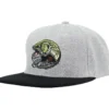 Snapback keps Mad Pike