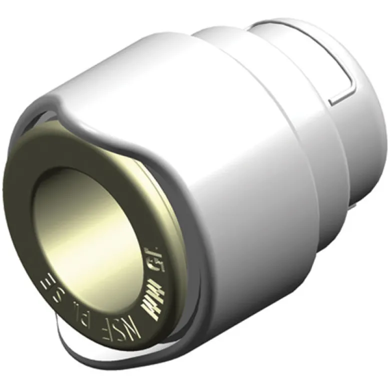 Whale ändplugg